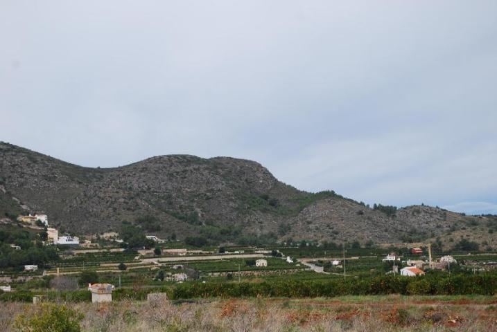 Partida Mostalla, Pego, Alicante for sale - Primary Photo - Image 2 of 8
