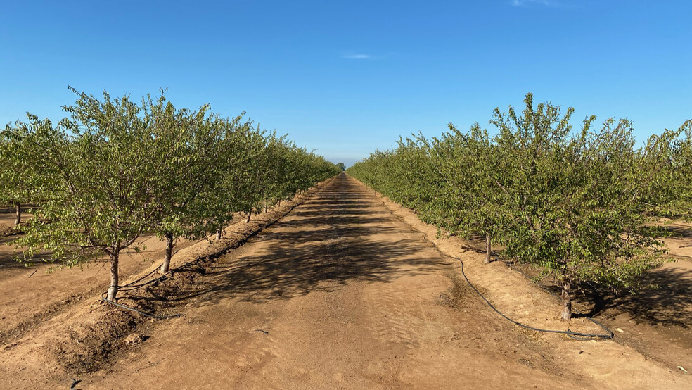 25012 Avenue 24, Chowchilla, CA for sale - Primary Photo - Image 1 of 5