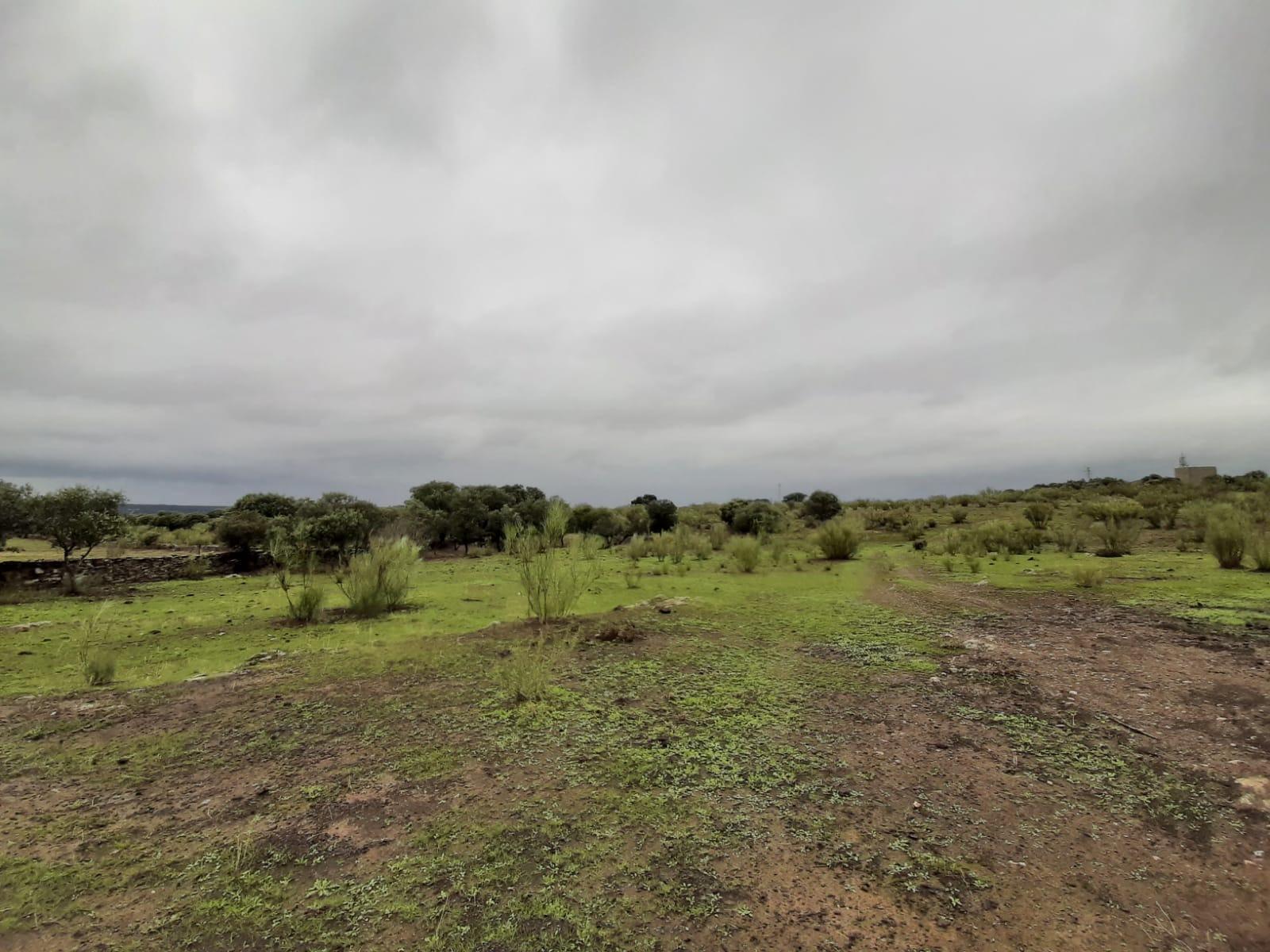 Land in Cáceres, Cáceres for sale Primary Photo- Image 1 of 9