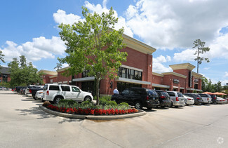 More details for 2520 Research Forest Dr, The Woodlands, TX - Office/Medical for Rent