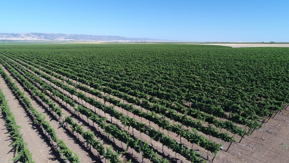 12955 County Road 89, Esparto, CA 95627 UK