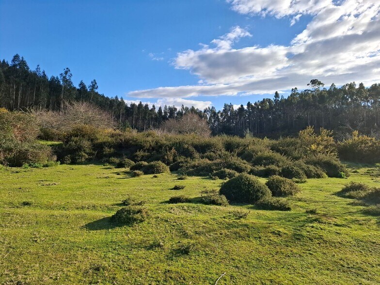 Acevedo, Oia, Pontevedra for sale - Building Photo - Image 1 of 42