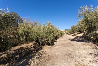 More details for Poligono, 2 Parcela 276 Y, Campotéjar - Land for Sale