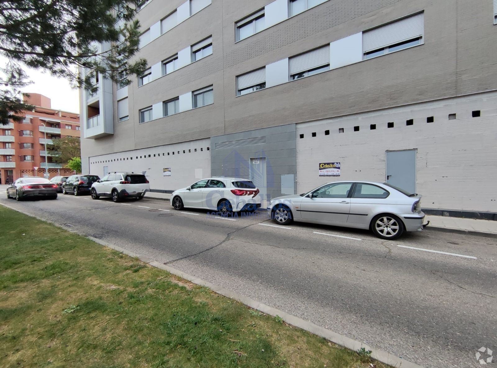 Retail in Guadalajara, Guadalajara to rent Interior Photo- Image 1 of 3