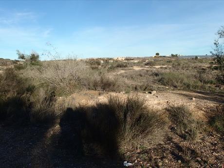 Land in Molina de Segura, Murcia for sale - Site Plan - Image 3 of 4