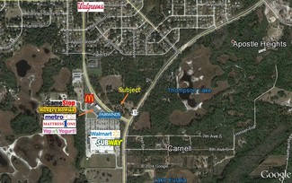 More details for 110 Howland Blvd, Osteen, FL - Land for Sale