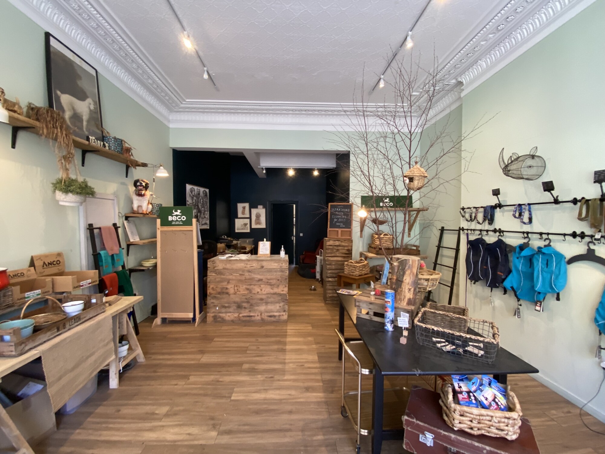 6A Montagu Ter, Edinburgh to rent Interior Photo- Image 1 of 2