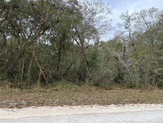 More details for Plymouth Rock Drive, Webster, FL - Land for Sale