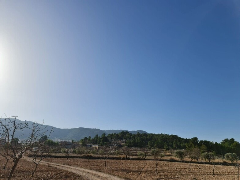 Land in Jumilla, Murcia for sale - Primary Photo - Image 3 of 15