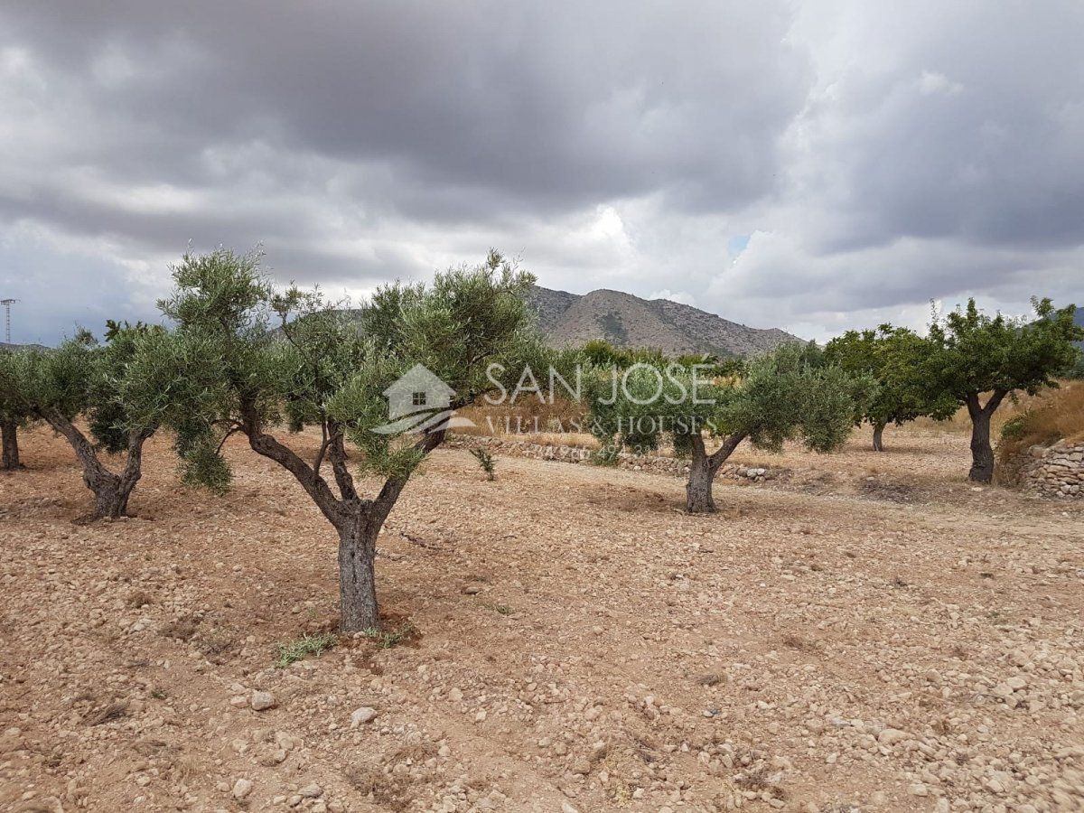 Land in HONDÓN DE LAS NIEVES, Alicante for sale Primary Photo- Image 1 of 3