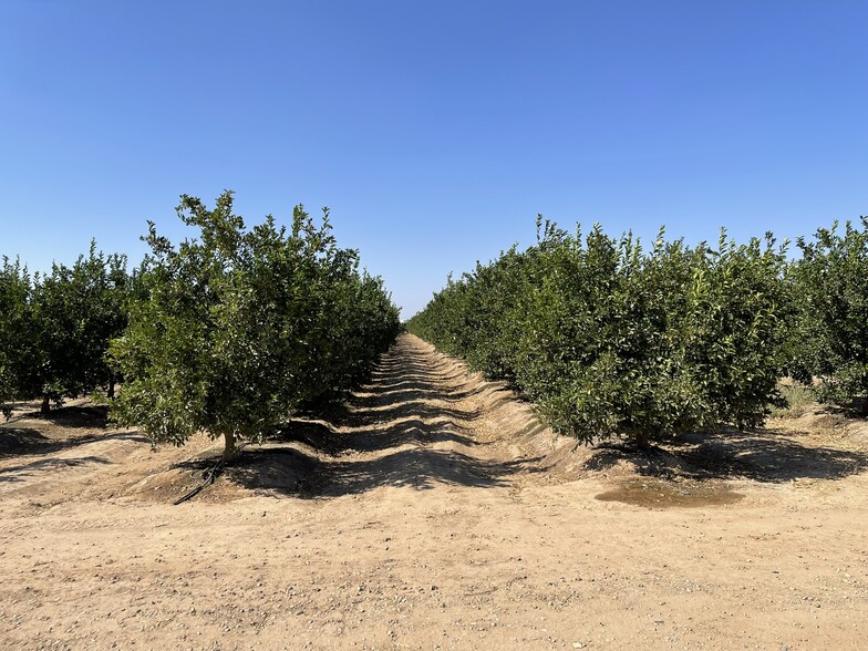 10361 E. Kings Canyon Rd., Sanger, CA for sale - Primary Photo - Image 1 of 9