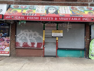 More details for 584-592 Albany Ave, Brooklyn, NY - Retail for Rent