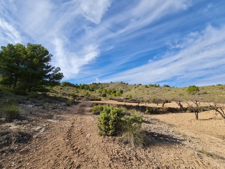 Land in Yecla, Murcia for sale - Aerial - Image 1 of 10