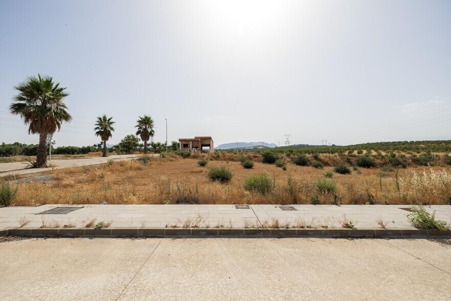 Land in Albolote for sale - Building Photo - Image 3 of 6