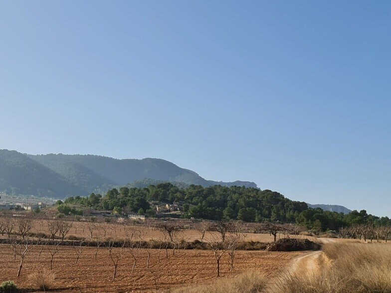 Land in Abanilla, Murcia for sale - Primary Photo - Image 2 of 12