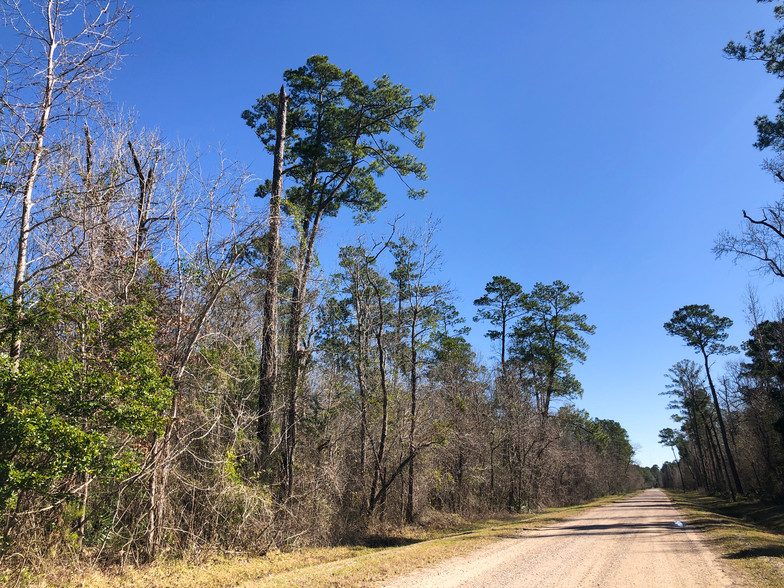 Palmer Rd, Daisetta, TX for sale - Other - Image 1 of 1