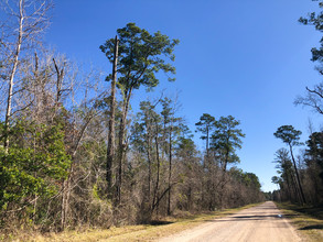 Palmer Rd, Daisetta, TX for sale Other- Image 1 of 1