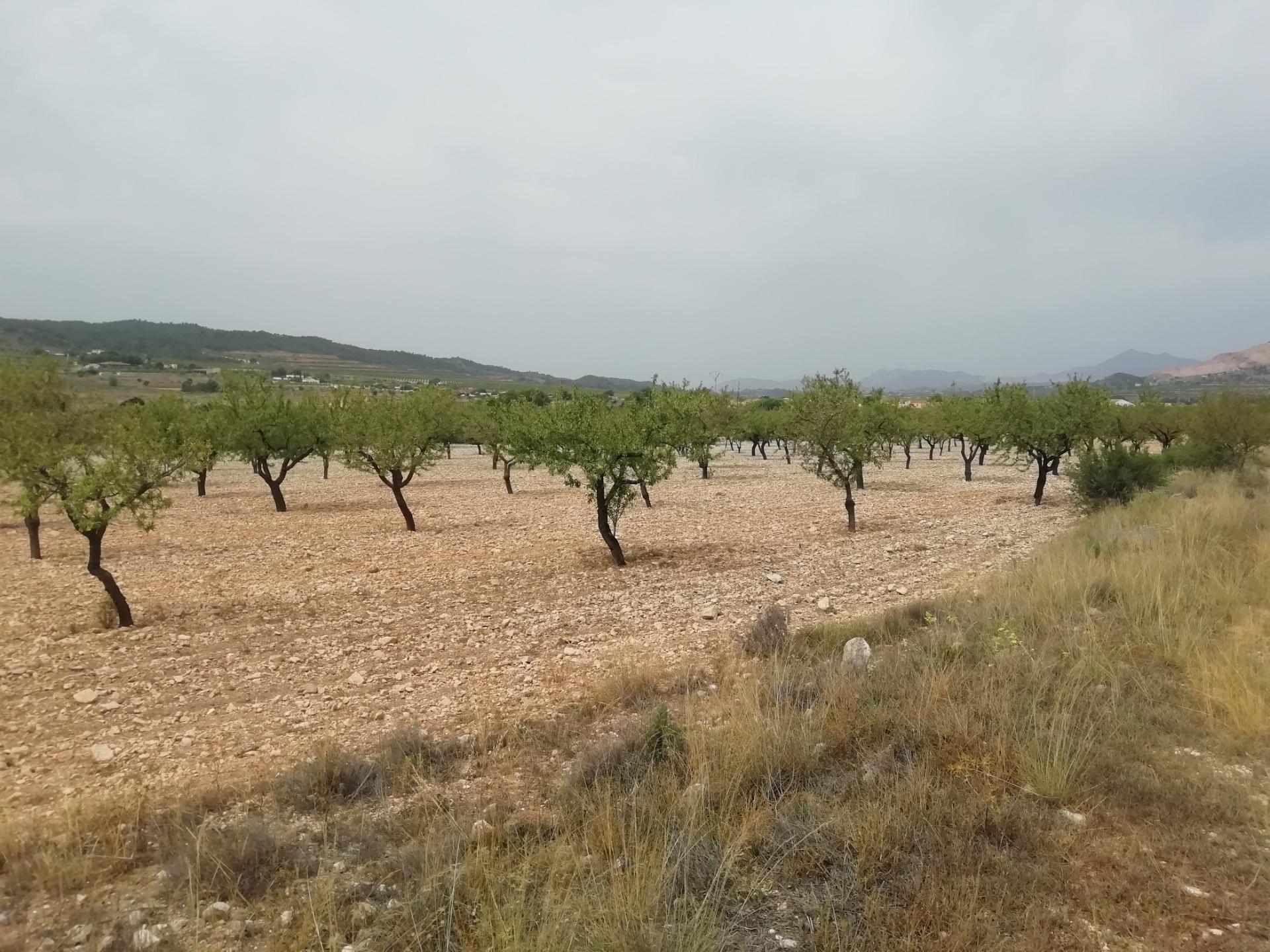 Land in Orihuela, Alicante for sale Aerial- Image 1 of 4