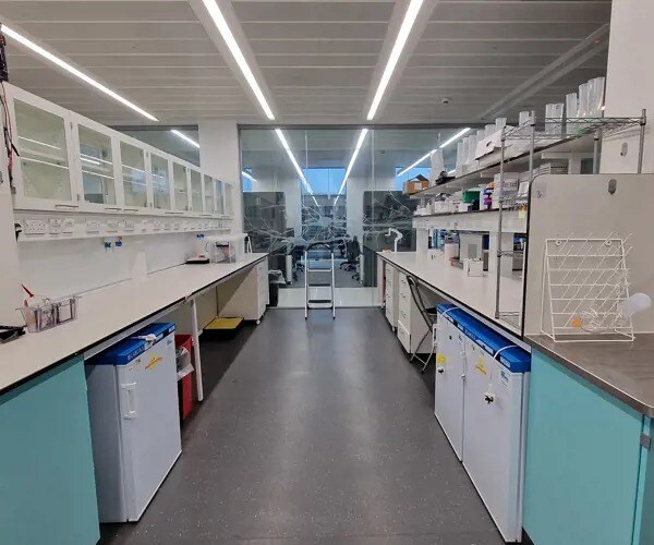 Lensfield Rd, Cambridge to rent - Interior Photo - Image 3 of 6