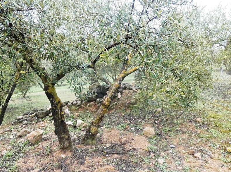 Land in Peligros, Granada for sale - Building Photo - Image 1 of 22