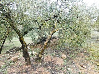 More details for Land for Sale