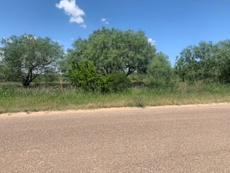 More details for 398 Well Ln, Laredo, TX - Land for Sale