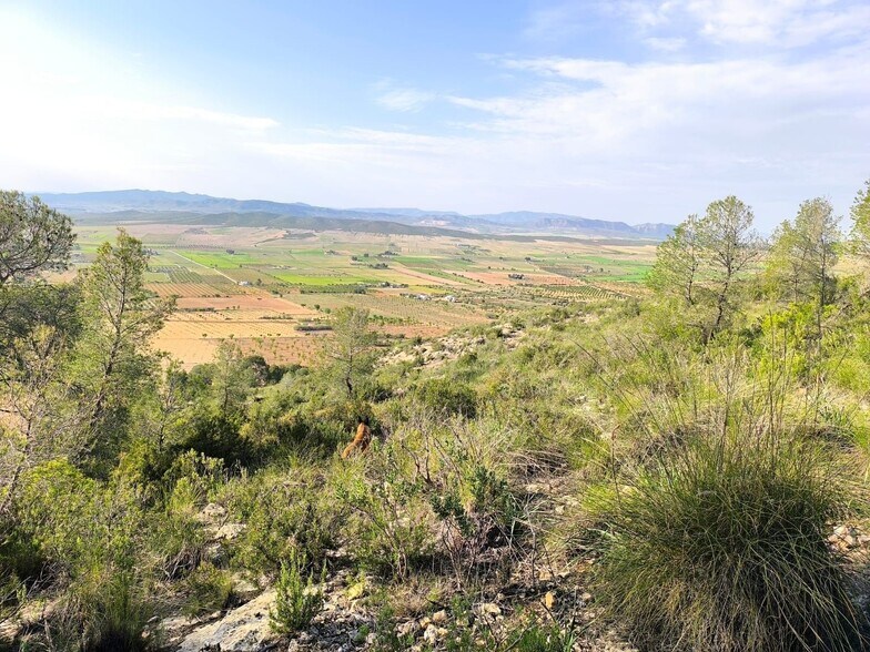 Land in Yecla, Murcia for sale - Aerial - Image 1 of 15