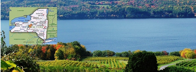 More details for 4966 NY-414, Burdett, NY - Specialist for Sale