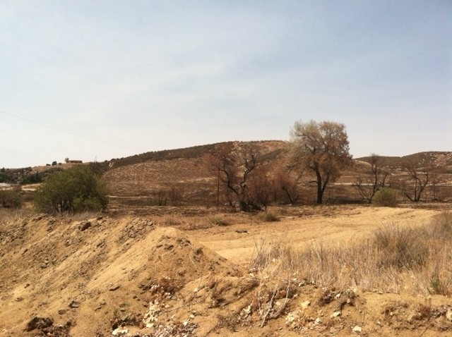 Elizabeth Lake Road & Johnson Rd, Lake Elizabeth, CA for rent - Building Photo - Image 3 of 3