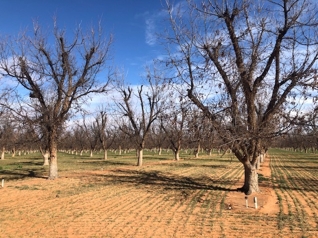 0 County Road 319, Seminole, TX for sale - Building Photo - Image 3 of 65