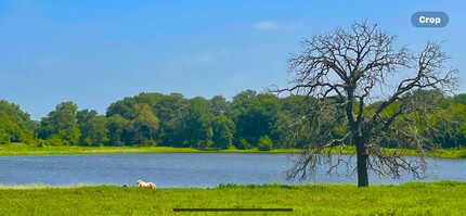 FM 933 Patton Lake rd, Aquilla, TX for sale Other- Image 1 of 8