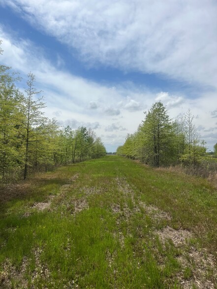 0 Hwy 147 hwy, Proctor, AR for sale - Primary Photo - Image 1 of 4