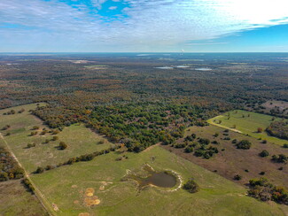 More details for 0000 TBD 600 Acres Falls County, Kosse, TX - Land for Sale