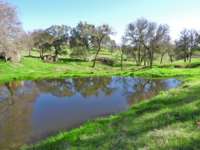 Putnam Ranch State Highway 16, Plymouth, CA for sale - Building Photo - Image 2 of 5