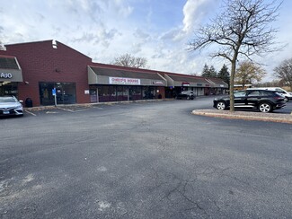 More details for 105-213 E Lake St, Bartlett, IL - Retail for Rent