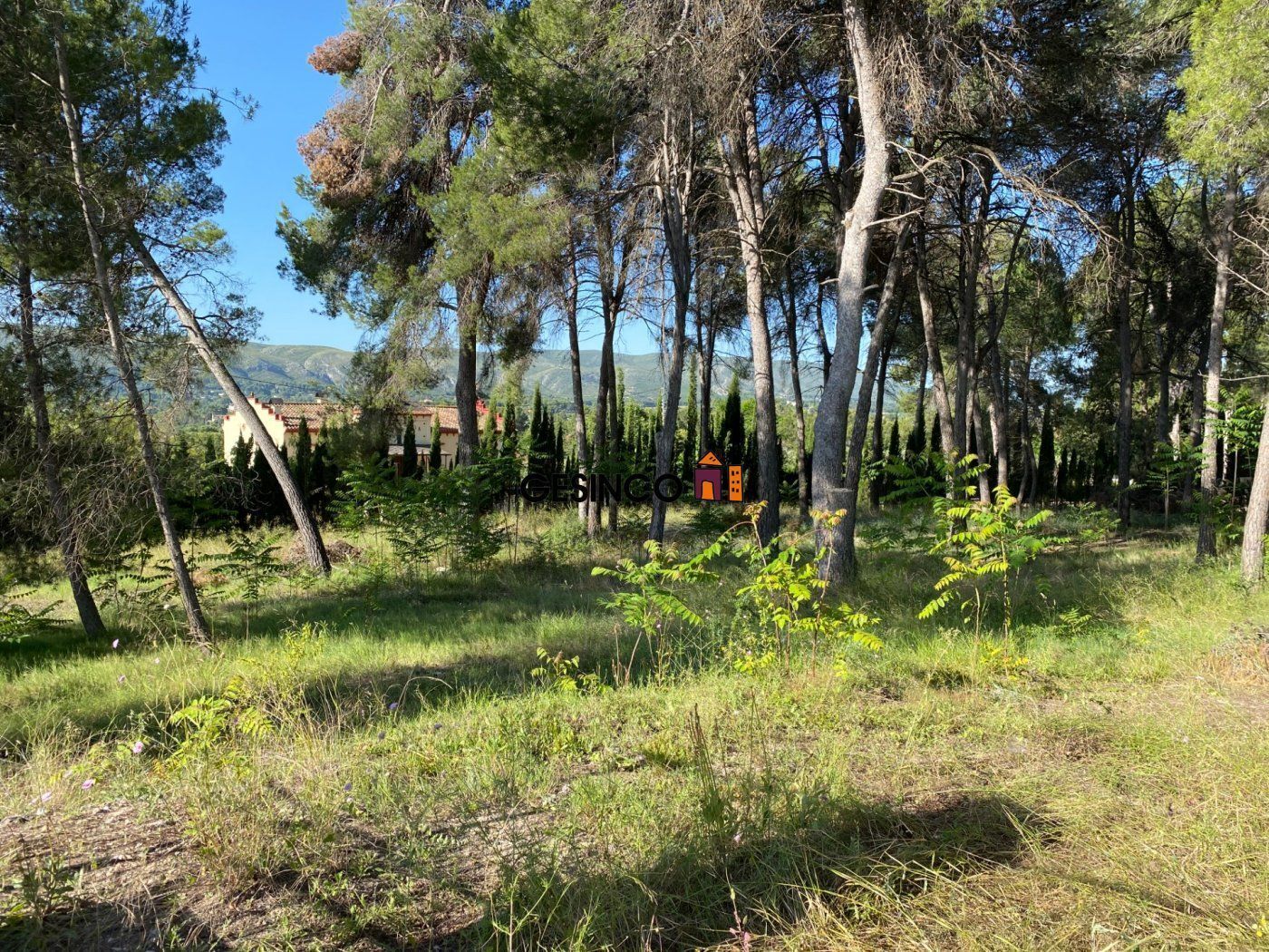 Land in Aigües, Alicante for sale Primary Photo- Image 1 of 3