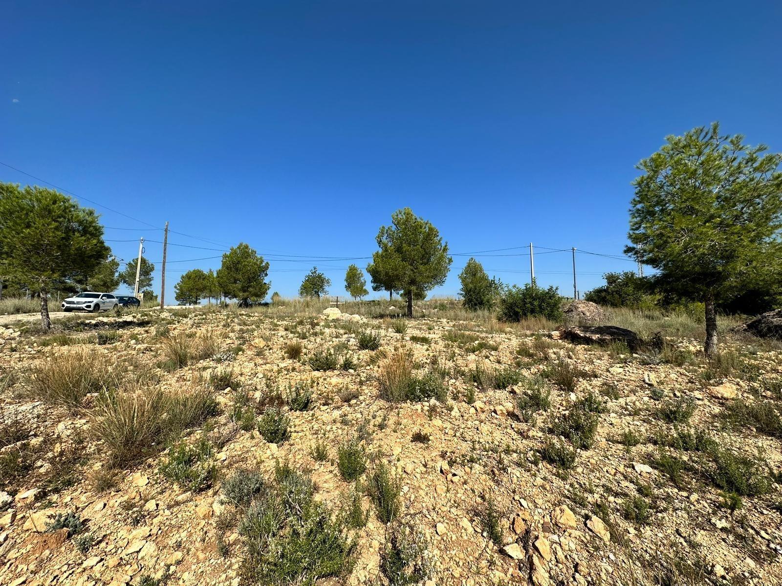 Land in Catadau, Valencia for sale Primary Photo- Image 1 of 12