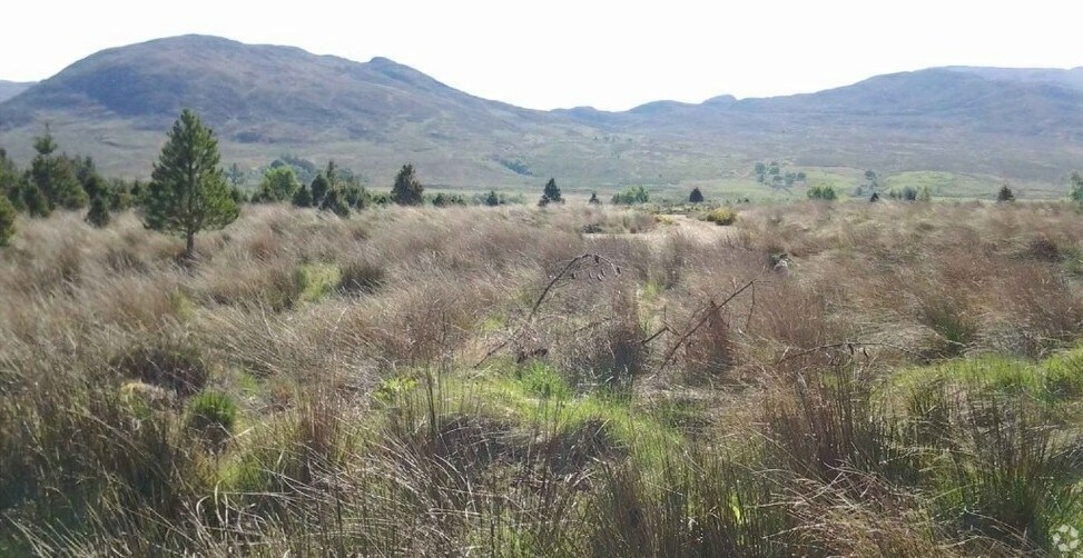 Whitebridge, Inverness for sale - Primary Photo - Image 1 of 1