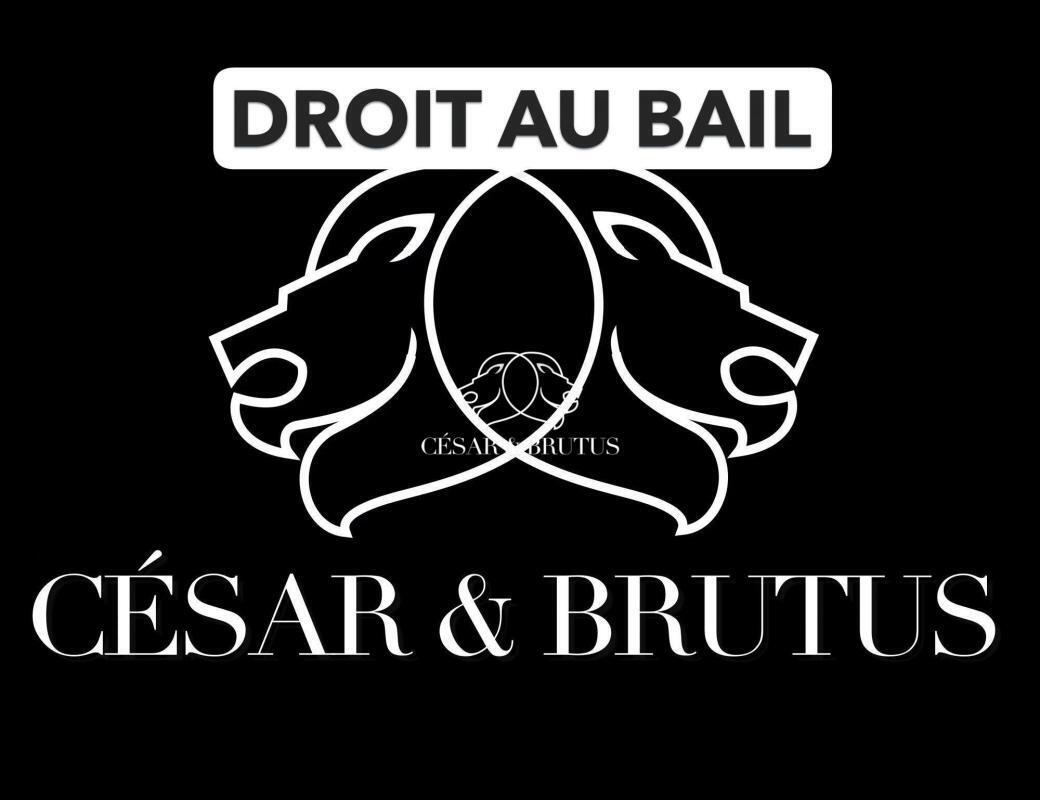Retail in Lyon to rent Building Photo- Image 1 of 2