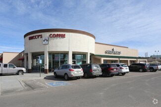 More details for 140 S Wilcox St, Castle Rock, CO - Office for Rent