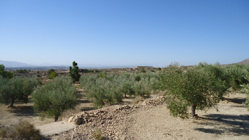 Land in Abanilla, Murcia for sale - Primary Photo - Image 3 of 18