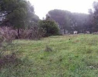 More details for Land for Sale