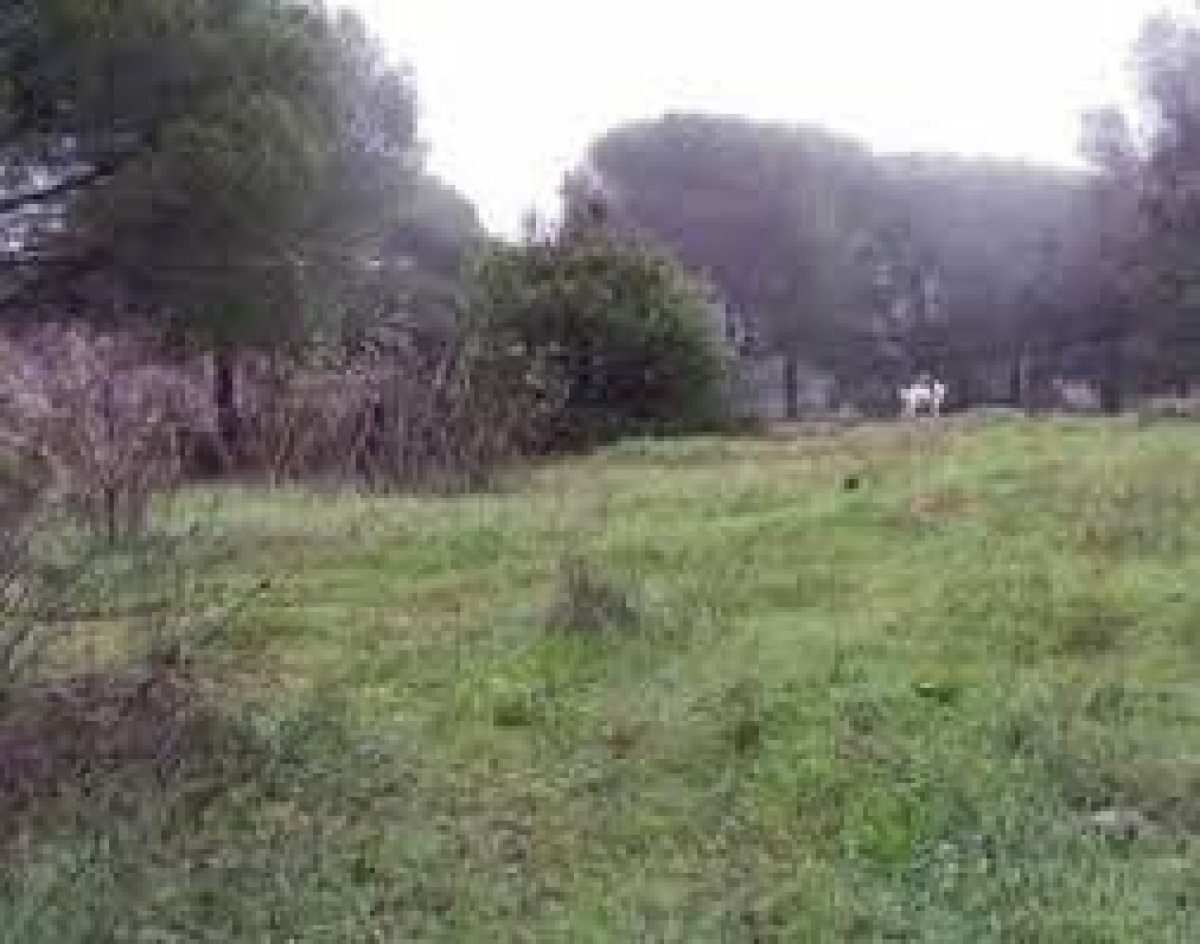 Land in Córdoba, Córdoba for sale Primary Photo- Image 1 of 4