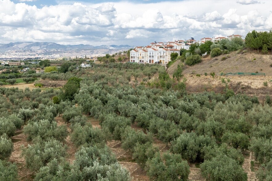 Pol, 1, Granada, Granada for sale - Building Photo - Image 2 of 21