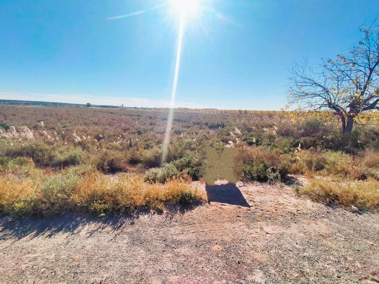 Land in Dolores, Alicante for sale Building Photo- Image 1 of 2