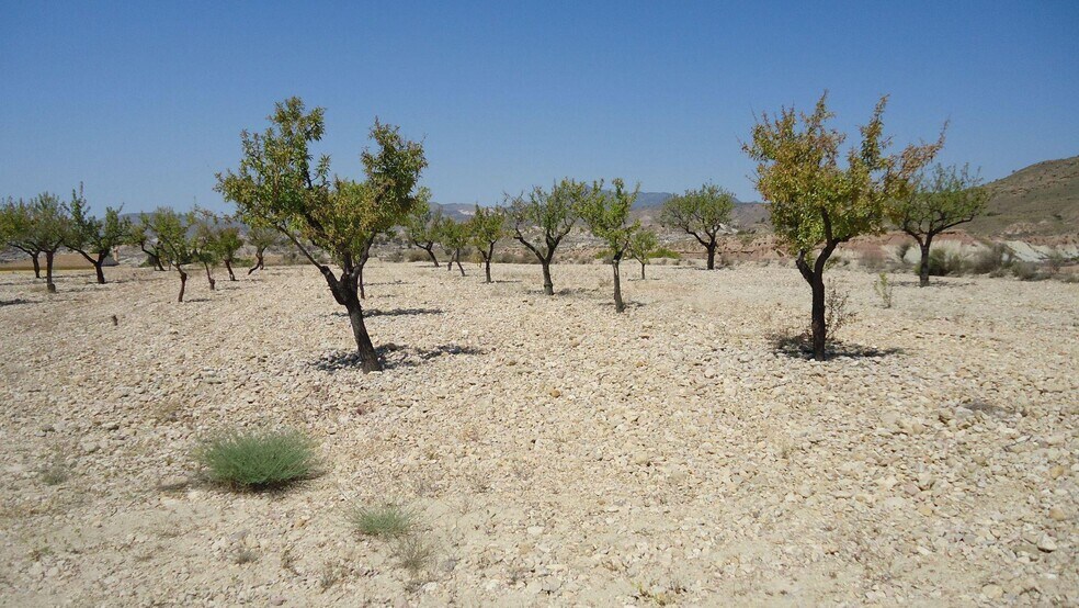 Land in Abanilla, Murcia for sale - Site Plan - Image 3 of 7