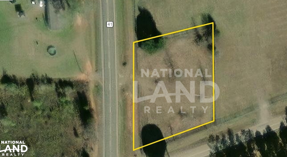 2077 41 hwy, Buena Vista, GA for sale - Aerial - Image 1 of 16