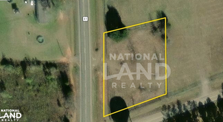 More details for 2077 41 hwy, Buena Vista, GA - Land for Sale