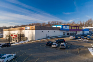 More details for 230 Rodi Rd, Pittsburgh, PA - Retail for Rent