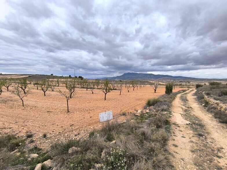 Land in Yecla, Murcia for sale - Aerial - Image 2 of 3